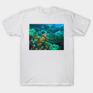 Freckled hawkfish T-Shirt